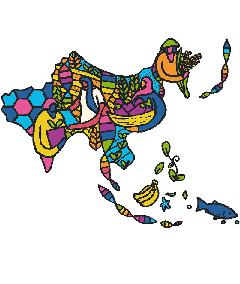 Illustrated map of Asia by Wenceslao Almazán