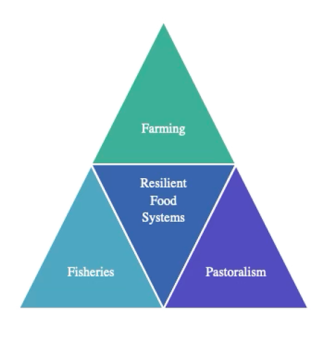 Triad infographic for food systems